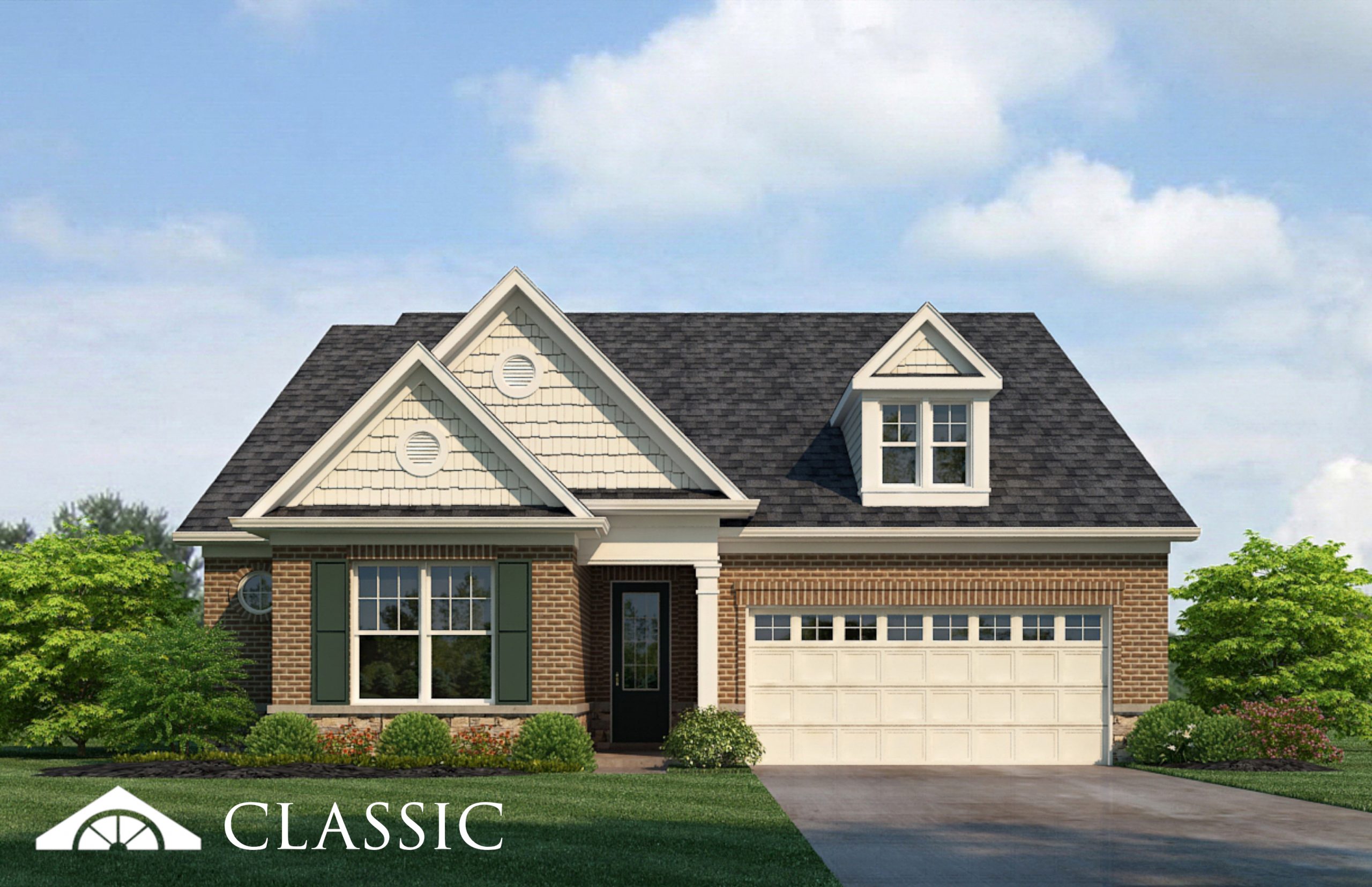 Lot 59 – 914 Shasta Daisy