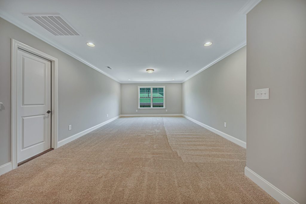 Image #27 for Barberry