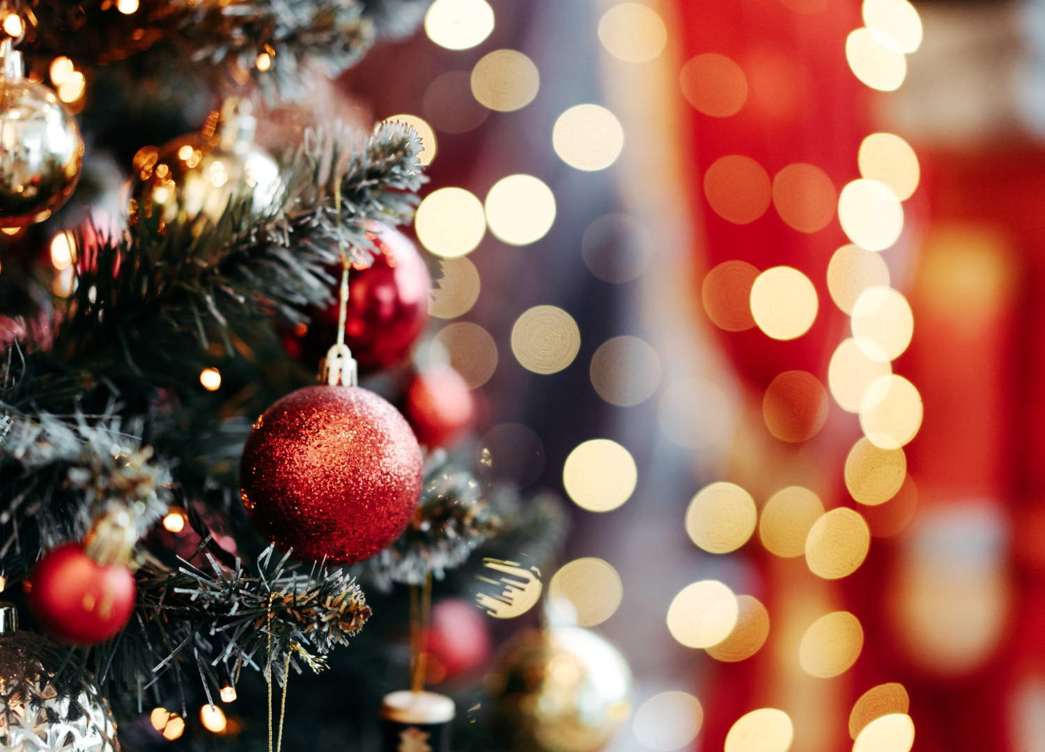 Must-Do Holiday Activities for Your First Christmas in Knoxville, Tennessee